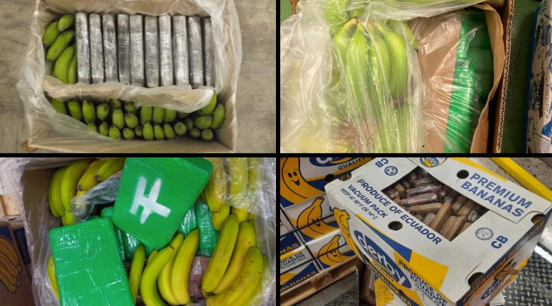 Kaçakçılar Neden Kokaini Genelde Muz Kolilerinin İçine Saklıyor?