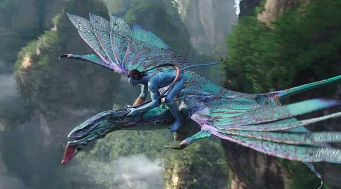 Doğada Neden Uçabilen Bir Binek Hayvanı Yok?