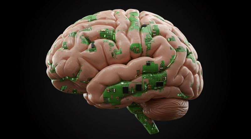 İnsan Beyni Kaç Gigabayt Bilgi Depolayabilir?