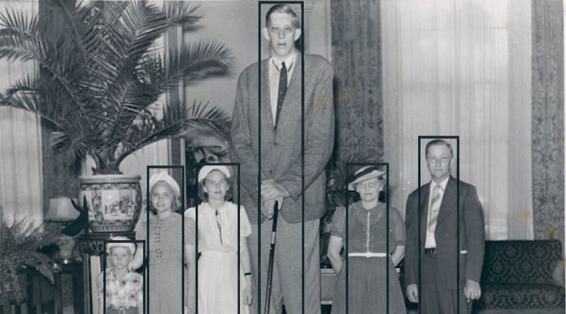 Bir İnsanın Boyu Neden 2,74 Metreden Daha Uzun Olamaz?