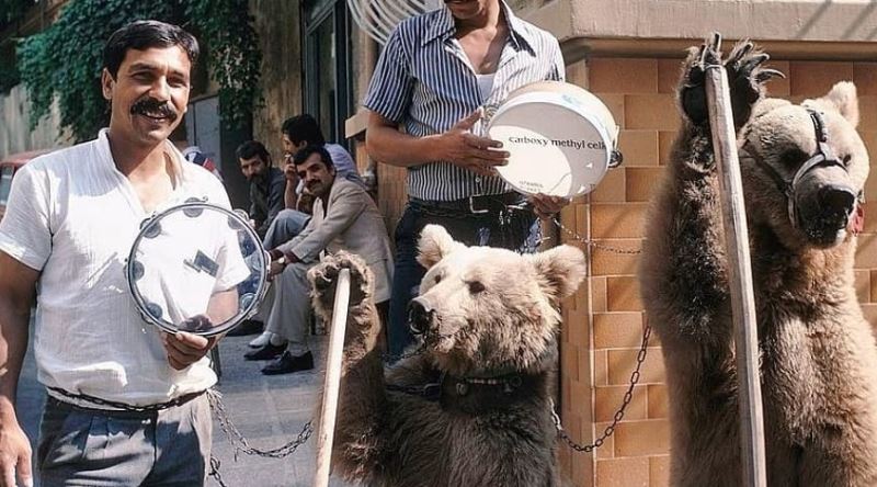 Arka Planında Bildiğin İşkence Yatan Bir Zamanların Eğlencesi: Sokakta Ayı Oynatmak