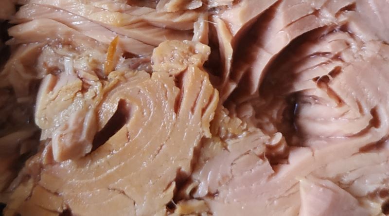 Bütün Ton Balığı Konservelerinin İçinde Aynı Tür Balık mı Var?