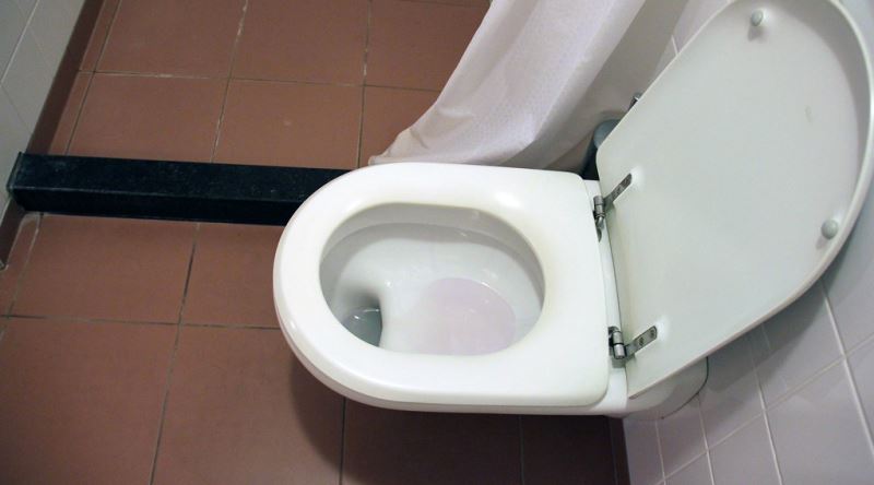 Dışkınızın Sifonu Çekince Gitmeyip Suyun Üstünde Yüzmesi Sağlıksız Bir İşaret mi?