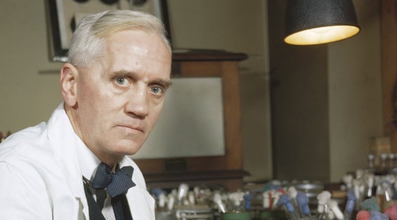 Tarihin En Önemli Tıbbi Keşiflerinden Penisilinin Tesadüf Eseri Ortaya Çıkış Hikayesi