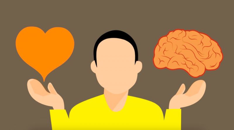 Karar Almada Beyin mi Yoksa Kalp mi Daha Etkili?