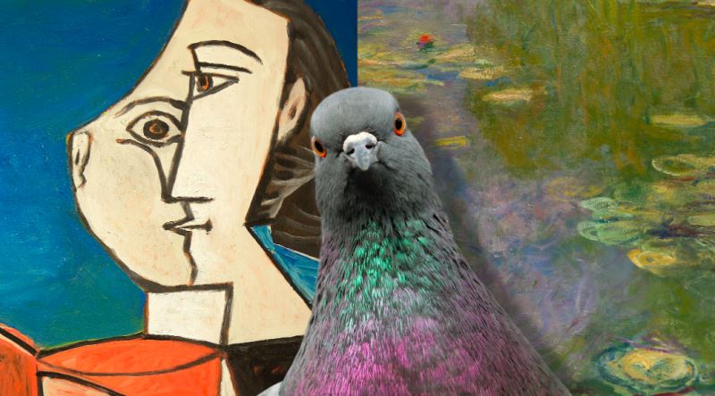 Güvercinler Birbirinden Farklı Ressamların Eserini Ayırt Edebiliyor mu?