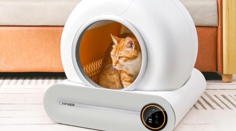 Otomatik Kedi Tuvaleti Kullanmaya Başlayan Bir Ekşi Sözlük Yazarının İzlenimleri