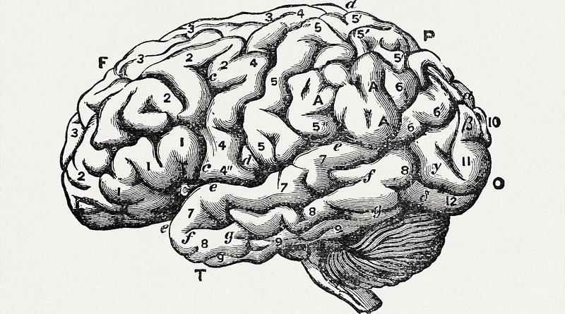 Beynin Örüntü Arayışı Nasıl Hem Bilimi Hem Komploları Doğuruyor?