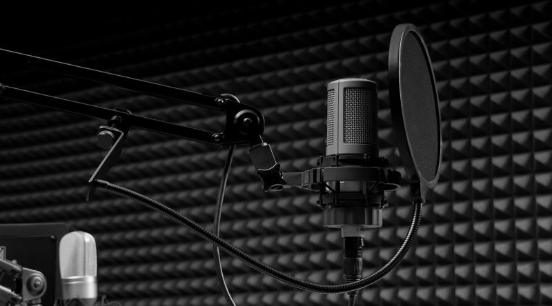 Sesi Çok Güzel Olan Bazı İnsanlar Neden Bir Türlü Dublaj Sektörüne Giremiyor?