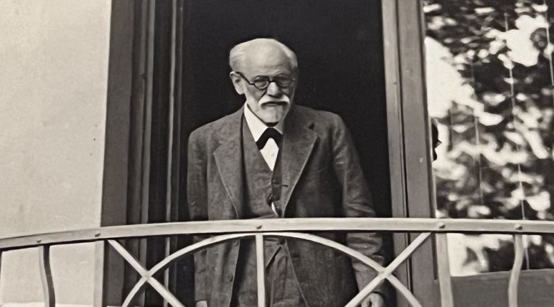 Freud'un Ödipal Kompleks veya Bilinçdışı Haricinde Fazla Bilinmeyen Kritik Teorileri