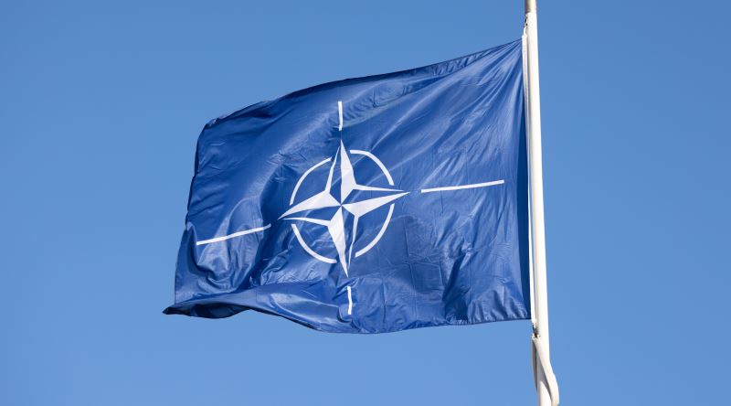 Nato Kafa Nato Mermer Deyimi, Bildiğimiz NATO'dan mı Geliyor?