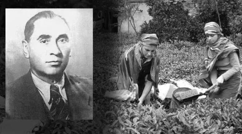 Tropikal İklimde Yetişen Çay Nasıl Oldu da Türkiye'de Üretilmeye Başladı?