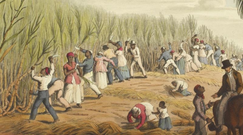 Dünyayı Değiştiren Tatlı Taş: Şekerin 8000 Yıllık Tarihi Yolculuğu