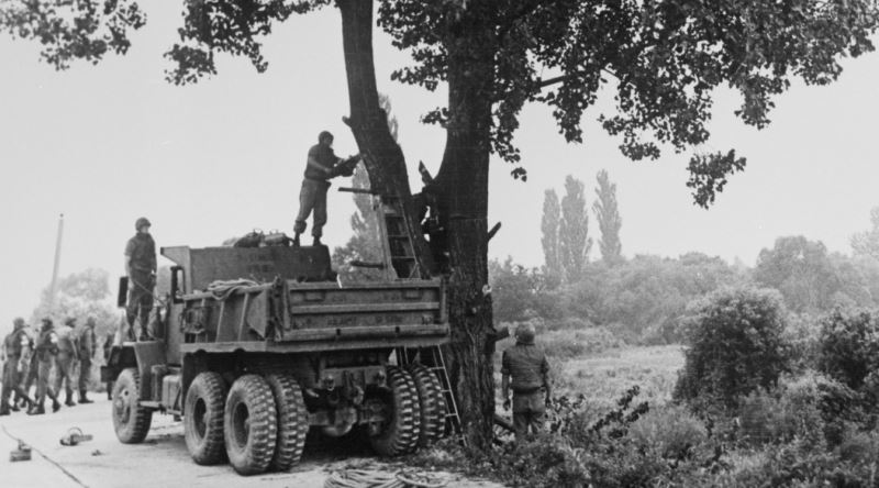 Amerika ve Kuzey Kore'yi Savaşın Eşiğine Getiren Ağaç Budama Olayı
