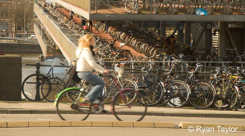 Hollanda'da Bisiklet Sürerken Yaparsanız Anında 60 € Ceza Yemenize Sebep Olacak Şeyler