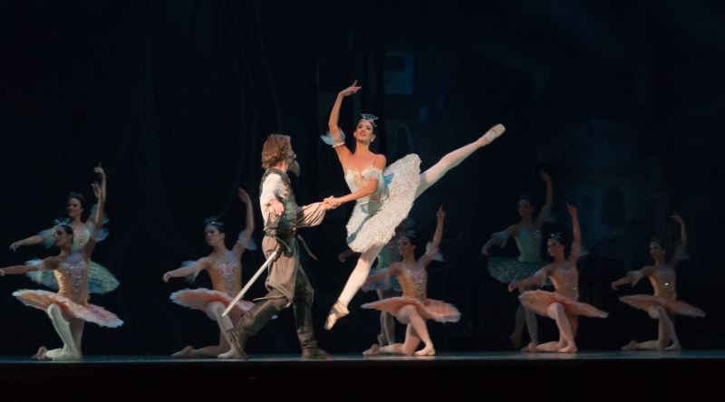 Bale Hakkında Yanlış Bilinenler ve Doğruları