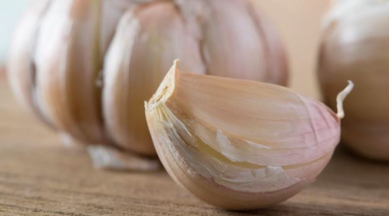 Bir Gün İnsanlık Yok Olursa Neden Sarımsak da Yok Olur?