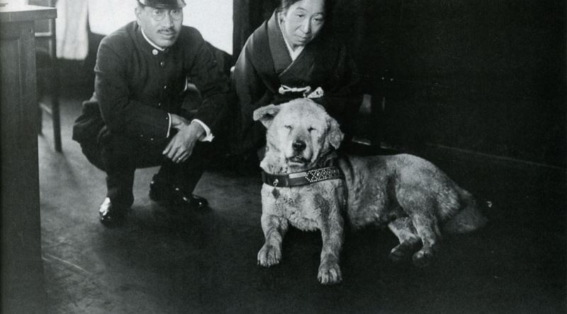 Ölen Sahibini 10 Yıl Boyunca Bekleyen Vefalı Köpek Hachiko'nun Hikayesi