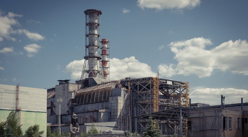 Çernobil Faciasının Civardaki Hayvanlar Üzerinde Yarattığı İlginç Değişimler