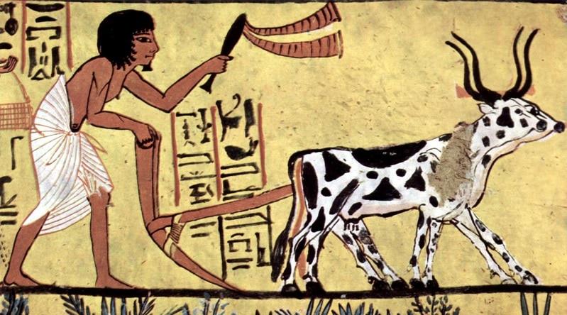 2,6 Milyon Yıl Önceden Günümüze: Dünyanın En Eski Meslekleri