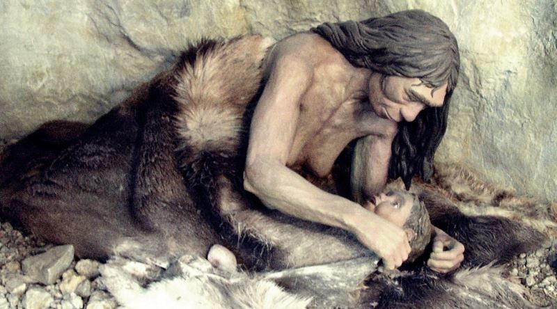 Neandertallerin Bugünkü Modern İnsandan Çok Daha Farklı Olan Anatomik Yapıları